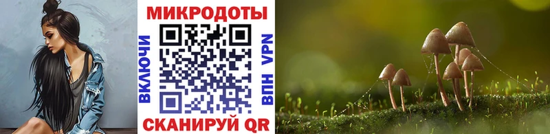 хочу наркоту Ардатов Псилоцибиновые грибы ЛСД